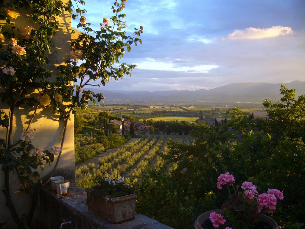 Villa Della Genga Country Houses Poreta ภายนอก รูปภาพ